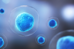 세포 활성 스위치 (Opsin)