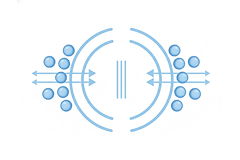 고효율 에너지 통로 (TRPV)